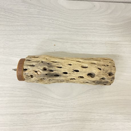 カクタスパーチ 中サイズ④ 直径（約5.5cm）長さ/15cm