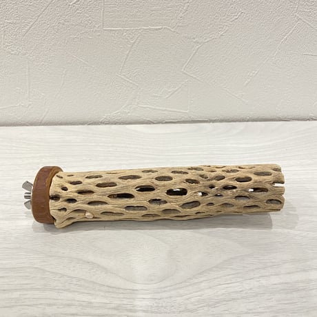 カクタスパーチ⑥小サイズ 直径（約3.5cm）長さ/15cm