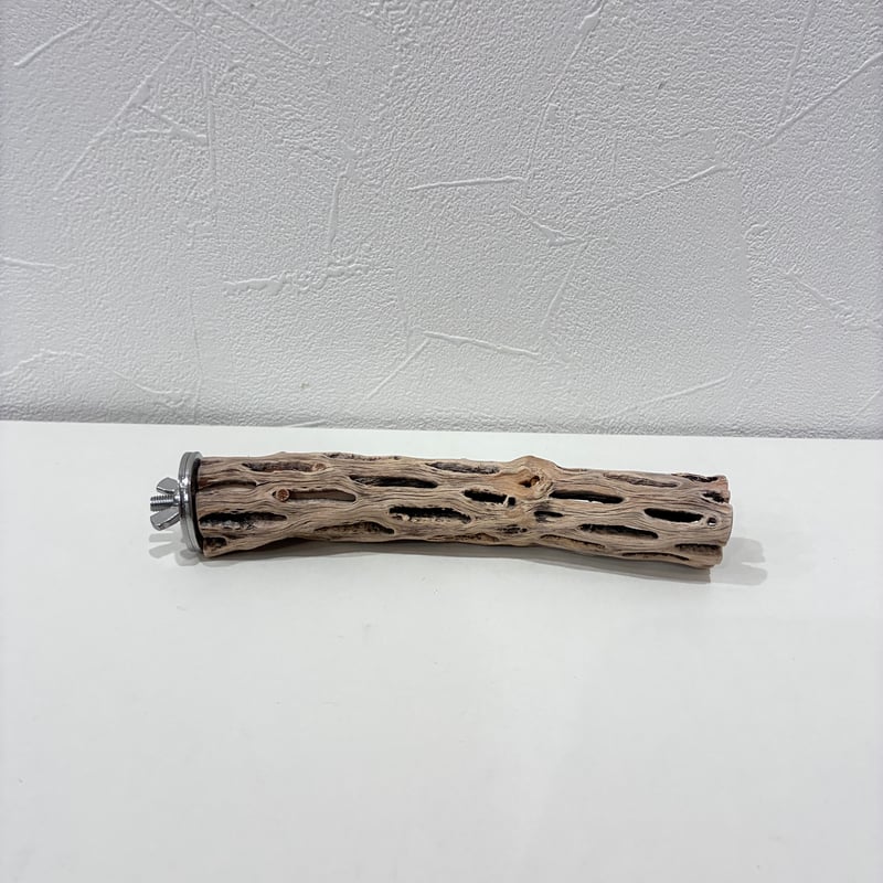 カクタスパーチ極小サイズ③ 直径約2.5cm/長さ15cm【自然木 止まり木