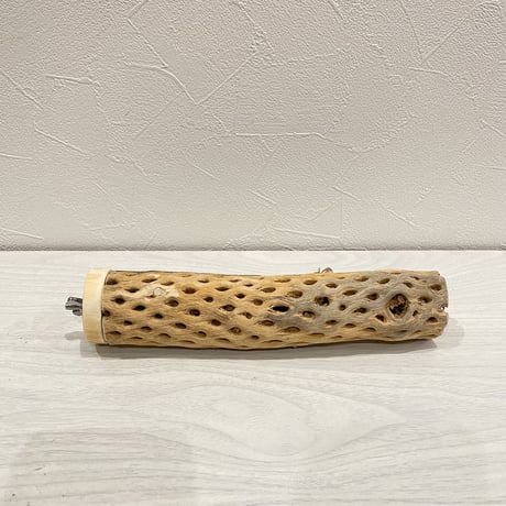 カクタスパーチ【2】小 直径約3-4cm/20cm