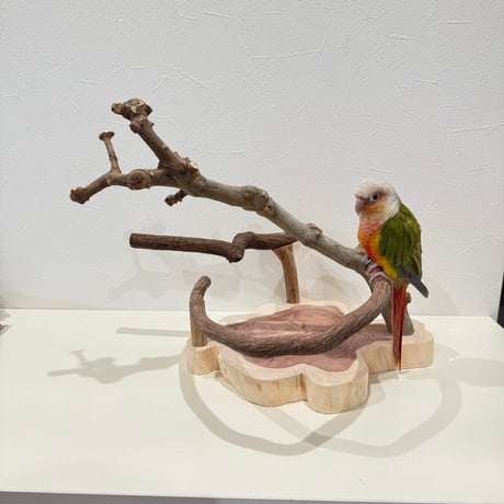 ツタとトウカエデのスタンドパーチ【インコのおもちゃ・ブランコ・自然木のとまり木】バードアスレチック