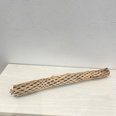 ケージサイズカクタスパーチ小② HOEI465 オカメ