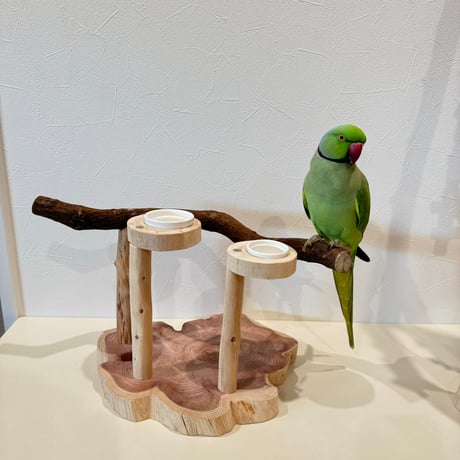 おやつ入れ付きツタのスタンドパーチ