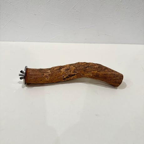 自然木（ツタ）パーチ 直径約3cm/長さ20cm