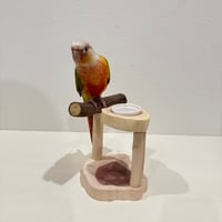 おやつ入れ付きスタンドパーチ【体重測定用】B