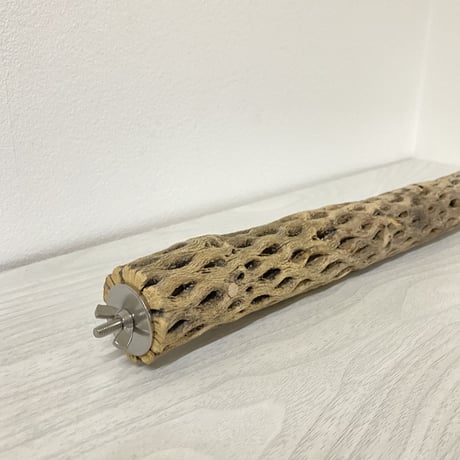 ケージサイズカクタスパーチ③ 小サイズ直径4cm HOEI465サイズ