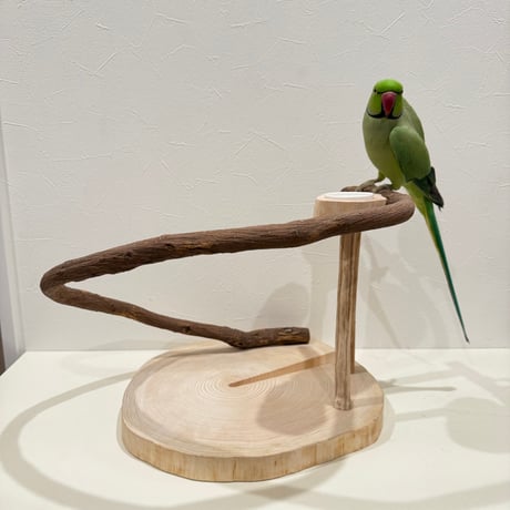 【幼鳥・老鳥・病鳥】優しいツタのスタンドパーチ【中型インコ】【インコのおもちゃ・ブランコ・自然木のとまり木】バードアスレチック