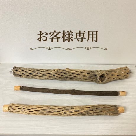 【sizu様専用】ケージサイズ自然木（ツタ）パーチ・カクタスパーチ