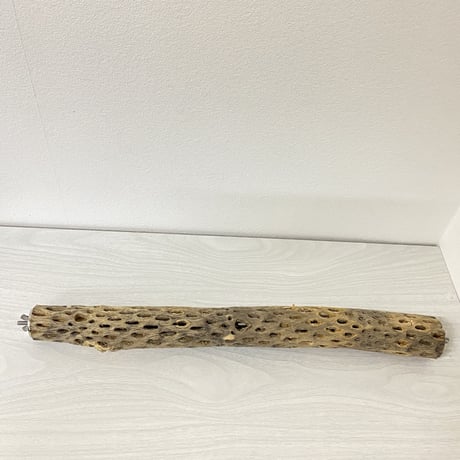 ケージサイズカクタスパーチ④ 小サイズ直径3-4cm HOEI465サイズ
