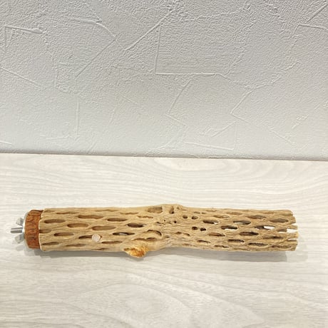 カクタスパーチ11  極小 直径3cm前後 長さ20cm