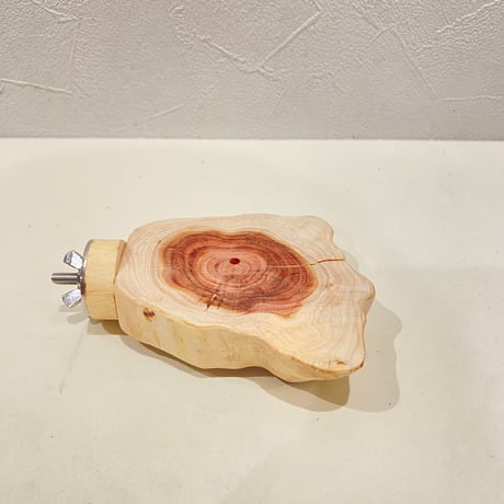 貝塚伊吹テーブルパーチ  ⑧