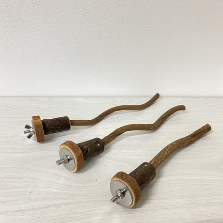 【ピーチョコたまっち様専用】自然木（ツタ）パーチ直径0.8〜1cm／長さ15.18.20cm