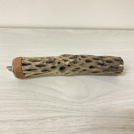 カクタスパーチ⑦ 極小サイズ 直径（約2-3cm）長さ/15cm