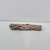 カクタスパーチ極小サイズ⑩ 直径約2.7cm/長さ15cm【自然木 止まり木 バンブルフット 趾瘤症 】