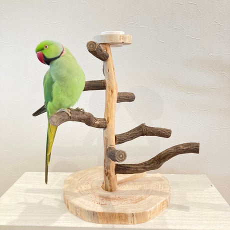 ツタのツリーバードアスレチック【インコのおもちゃ・自然木のとまり木】