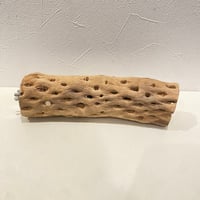 カクタスパーチ⑨ 直径約5~5.5cm/長さ20cm