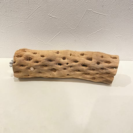 カクタスパーチ⑨ 直径約5~5.5cm/長さ20cm