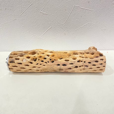 カクタスパーチ⑥ 直径約4.5cm/長さ20cm