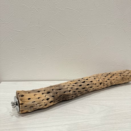 【UKANAIL様専用】  ケージサイズカクタスパーチ