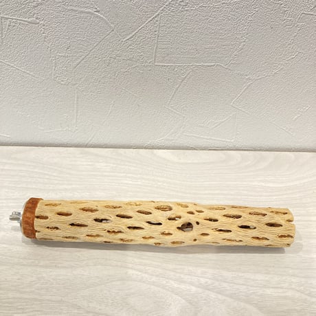 カクタスパーチ12  極小 直径3cm前後 長さ20cm