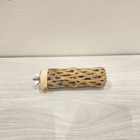 カクタスパーチ⑥  極小 直径3cm前後 長さ10cm