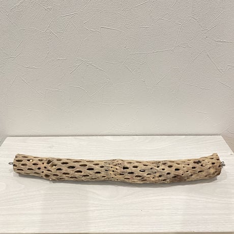 ケージサイズカクタスパーチ④ 小直径3〜4cm HOEI465