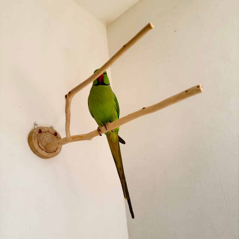 686a165a20bc0fe300c30858