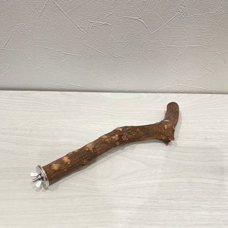 自然木（ツタ）パーチ③ 直径2.3cm/長さ25cm