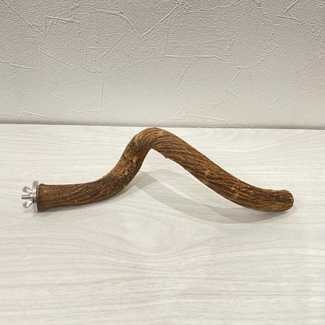 自然木（ツタ）パーチ⑩ 直径約2cm/長さ24cm