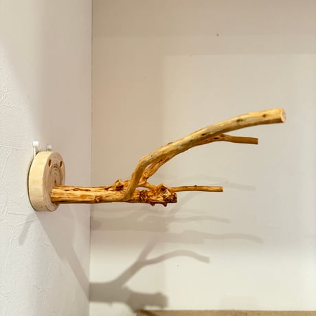 ピノキオの鼻 ①