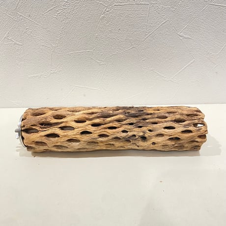 CATEGORY カクタスパーチ | 自然木の鳥用品 鳥豆堂【トリマメドウ