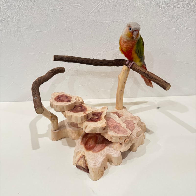 T様専用】ツタのスタンドパーチ 殿様パーチHOEI465【インコ 自然木