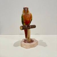 ツタのスタンドパーチ【体重測定用】A