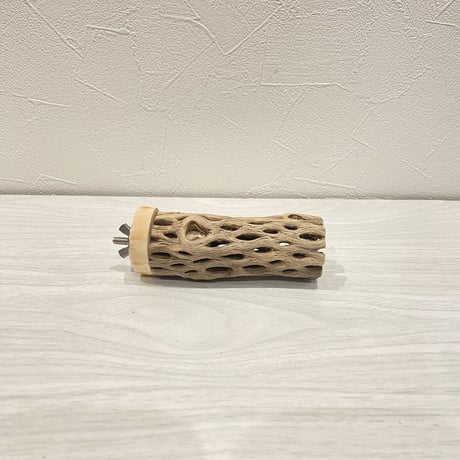 カクタスパーチ【5】 小直径3.5cm/10cm