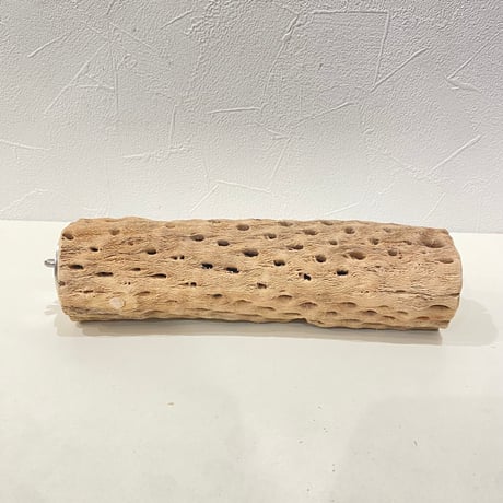 カクタスパーチ⑬ 直径約5.5cm/長さ20cm