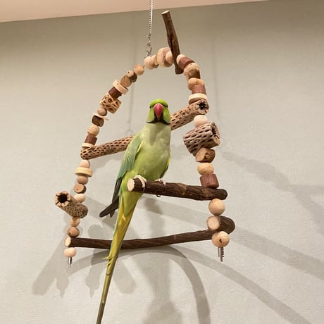 ポテトヘッドくんBIG カクタス【E】　カスタムアスレチックブランコ