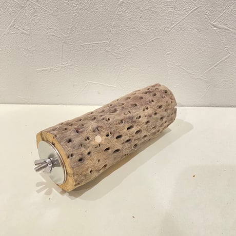 カクタスパーチ(K) 直径約5.5cm/長さ15cm
