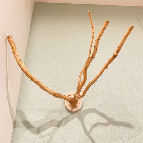 ピノキオの鼻 ②  中型から大型用