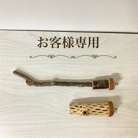 【mamii__038様専用】カクタスパーチ極小　直径2〜3cm／長さ10cm