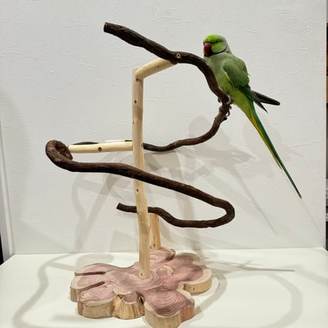 ツタのぐるぐるアスレチック【インコのおもちゃ・自然木のとまり木】