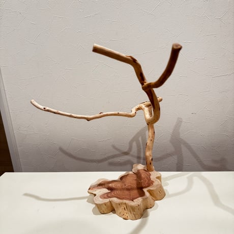 貝塚伊吹のスタンドパーチ 【自然木 とまり木 】