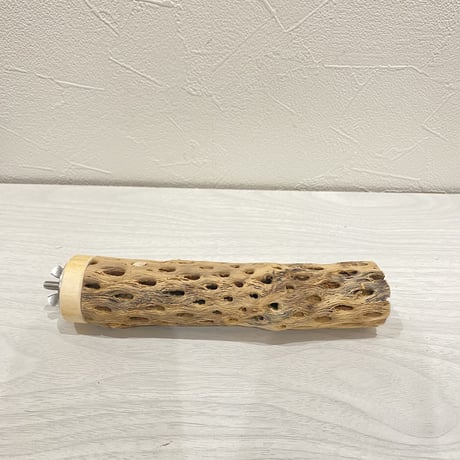 カクタスパーチ⑤  極小 直径3cm前後 長さ15cm