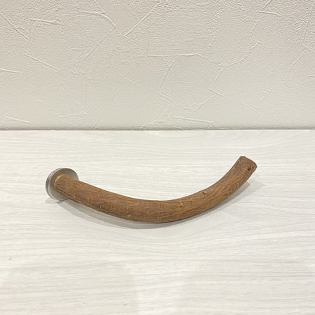 自然木（ツタ）パーチ⑨ 小型・ 中型用