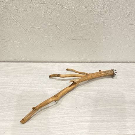 自然木（カイヅカイブキ）のパーチ①　直径0.5～1.5cm／長さ31cm