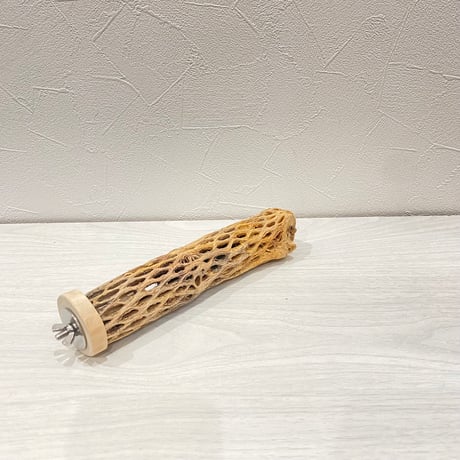カクタスパーチ⑪ 小サイズ長さ20cm