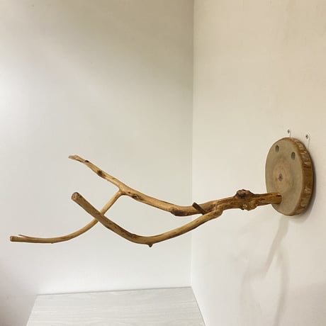 ピノキオの鼻 ②