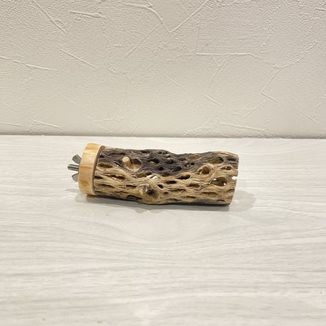 カクタスパーチ【11】 小直径3.5cm/10cm