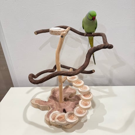 ツタと螺旋階段のぐるぐるバードアスレチック【インコのおもちゃ・ブランコ・自然木のとまり】