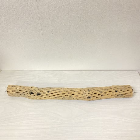 ケージサイズカクタスパーチ①  小直径3-4cm HOEI465サイズ