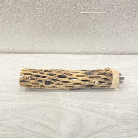 カクタスパーチ⑤ 極小直径2-3cm/15cm